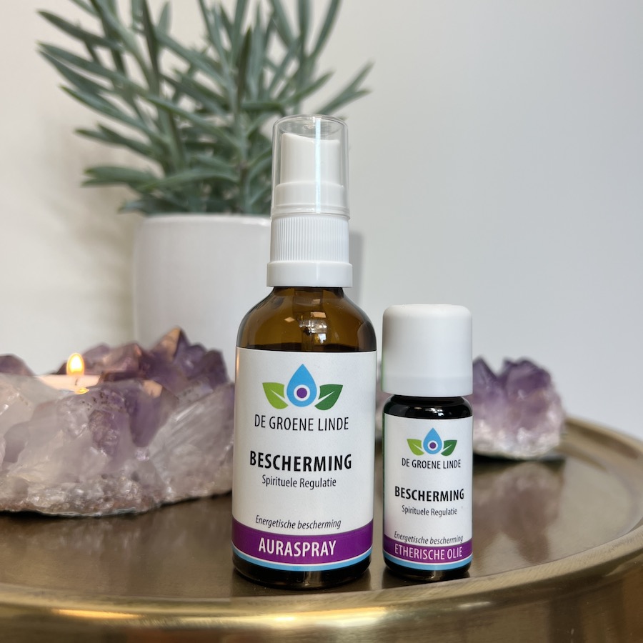 Bescherming Spirituele Regulatie.jpg